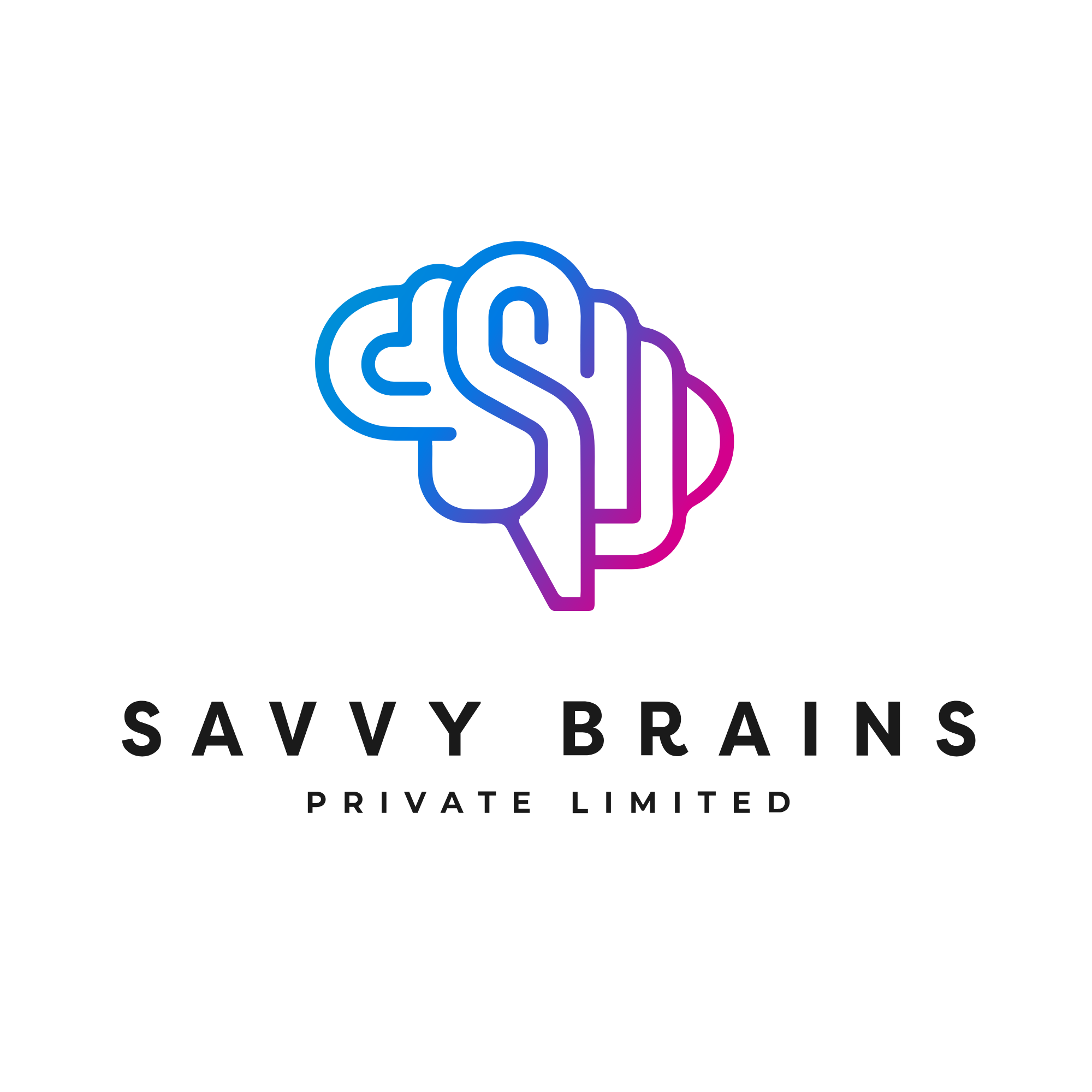 Savvy Brains Proprietary Limited